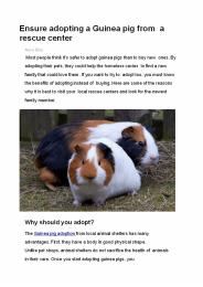 Ensure adopting a Guinea pig