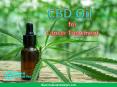 CBD Oil for Cancer Treatment PowerPoint PPT Presentation