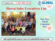 Hawai Sales Executives List