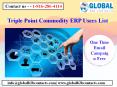 Triple Point Commodity ERP Users List PowerPoint PPT Presentation