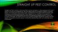 straight-up pest control PowerPoint PPT Presentation