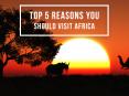 Experience The Majestic Wildlife Sceneries In Africa PowerPoint PPT Presentation