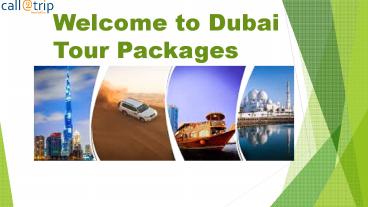 Dubai tour Packages.