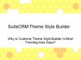 Builds Your Own SuiteCRM Theme/Style PowerPoint PPT Presentation