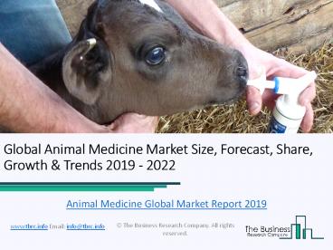 Global Animal Medicine Market 2019