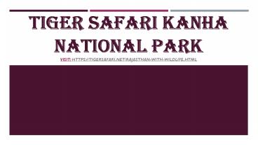 Tiger safari kanha national park