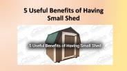 5 Useful Benefits of Having Small Shed