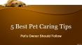 5 Best Pet Caring Tips PowerPoint PPT Presentation