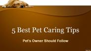5 Best Pet Caring Tips