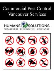 Commercial Pest Control Vancouver Services