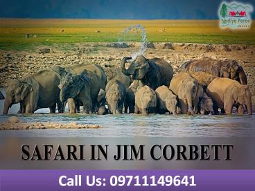 Safari In Jim Corbett | nadiyaparao