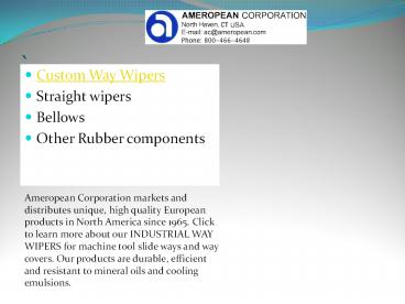 Custom Way Wipers| Ameropean