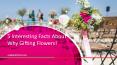 Cake and flower delivery in Abu Dhabi | Order birthday flowers online Dubai PowerPoint PPT Presentation