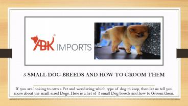 5 SMALL DOG BREEDS AND HOW TO GROOM THEM