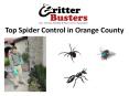 Top Spider Control in Orange County (1) PowerPoint PPT Presentation