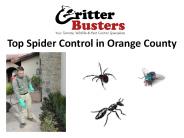 Top Spider Control in Orange County (1)