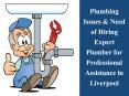 Plumbing Issues & Need of Hiring Expert Plumber for Professional Assistance in Liverpool PowerPoint PPT Presentation