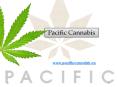 Online Marijuana Dispensary - pacificcannabis.ca PowerPoint PPT Presentation