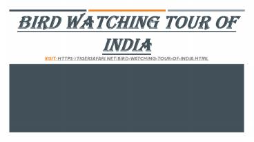 Bird Watching Tour of India