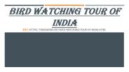 Bird Watching Tour of India