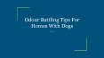 Odour Battling Tips For Homes With Dogs PowerPoint PPT Presentation