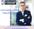 Chief Networking Officers Email List| CNO Email Database IN USA PowerPoint PPT Presentation
