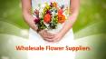 Wholesale Flower Suppliers PowerPoint PPT Presentation