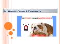 Pet Obesity Complications & Treatment PowerPoint PPT Presentation
