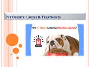 Pet Obesity Complications & Treatment
