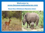 Book  Masai Mara Migration Safari Tours