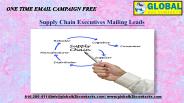 Supply Chain Executives Mailing Leads