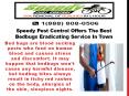 Speedy Pest Control Offers The Best Bedbugs Eradicating Service In Town PowerPoint PPT Presentation