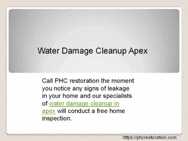 Water damage cleanup apex presentation | free to download