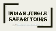 Indian jungle safari tours