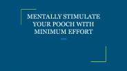 MENTALLY STIMULATE YOUR POOCH WITH MINIMUM EFFORT