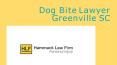 Dog Bite Lawyer Greenville SC PowerPoint PPT Presentation