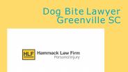 Dog Bite Lawyer Greenville SC