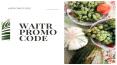 Waitr  promo code | waitr  promo codes july 2019 PowerPoint PPT Presentation