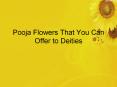Pooja Flowers That You Can Offer to Deities PowerPoint PPT Presentation