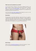 Which mens erotic underwear do you prefer? PowerPoint PPT Presentation