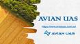 Avian UAS - image and video | asset inspection | survey and maps | 3D PowerPoint PPT Presentation