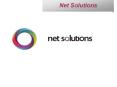 Net Solutions- A Software Development and Web Development Company PowerPoint PPT Presentation