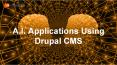 Drupal as CMS for A.I. Application PowerPoint PPT Presentation