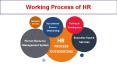 Working Process of HR PowerPoint PPT Presentation