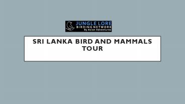 Sri Lanka Bird and Mammals Tour