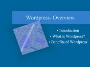 wordpress overview