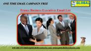 France Business Executives Email List