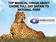 Top Magical things about Chobe Full Day Safari to National Park