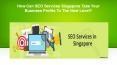 How Can SEO Services Singapore Take Your Business Profits To The Next Level? PowerPoint PPT Presentation