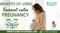 Benefits of using Shatavari during pregnancy PowerPoint PPT Presentation